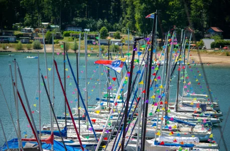 Über die Toppen geflaggte Boote am Steg vor dem bewaldeten Ufer.